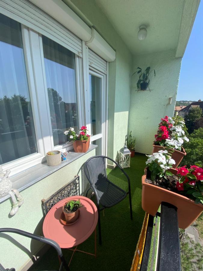 Oliaparman Appartement Eger Buitenkant foto
